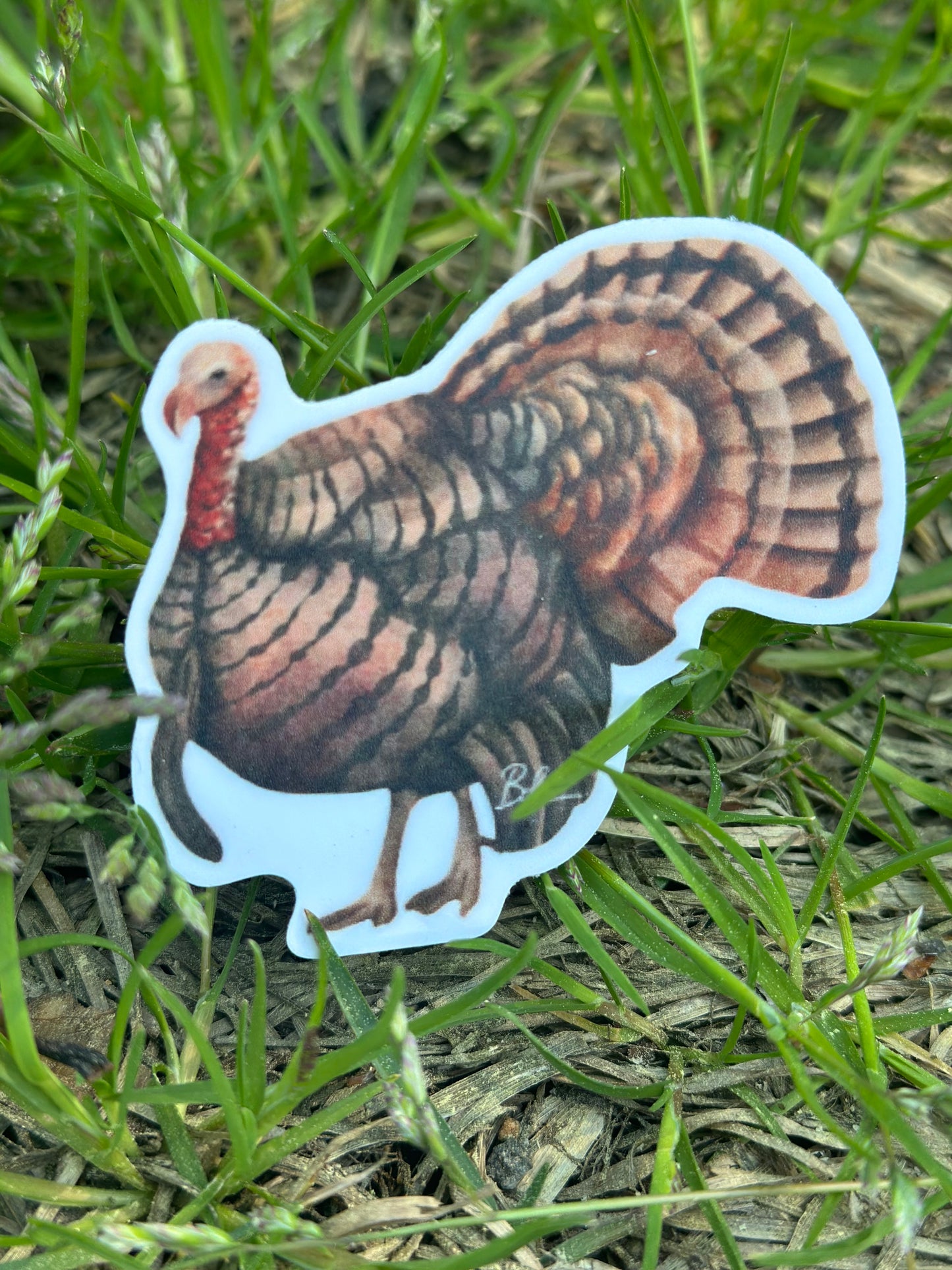 Turkey Sticker